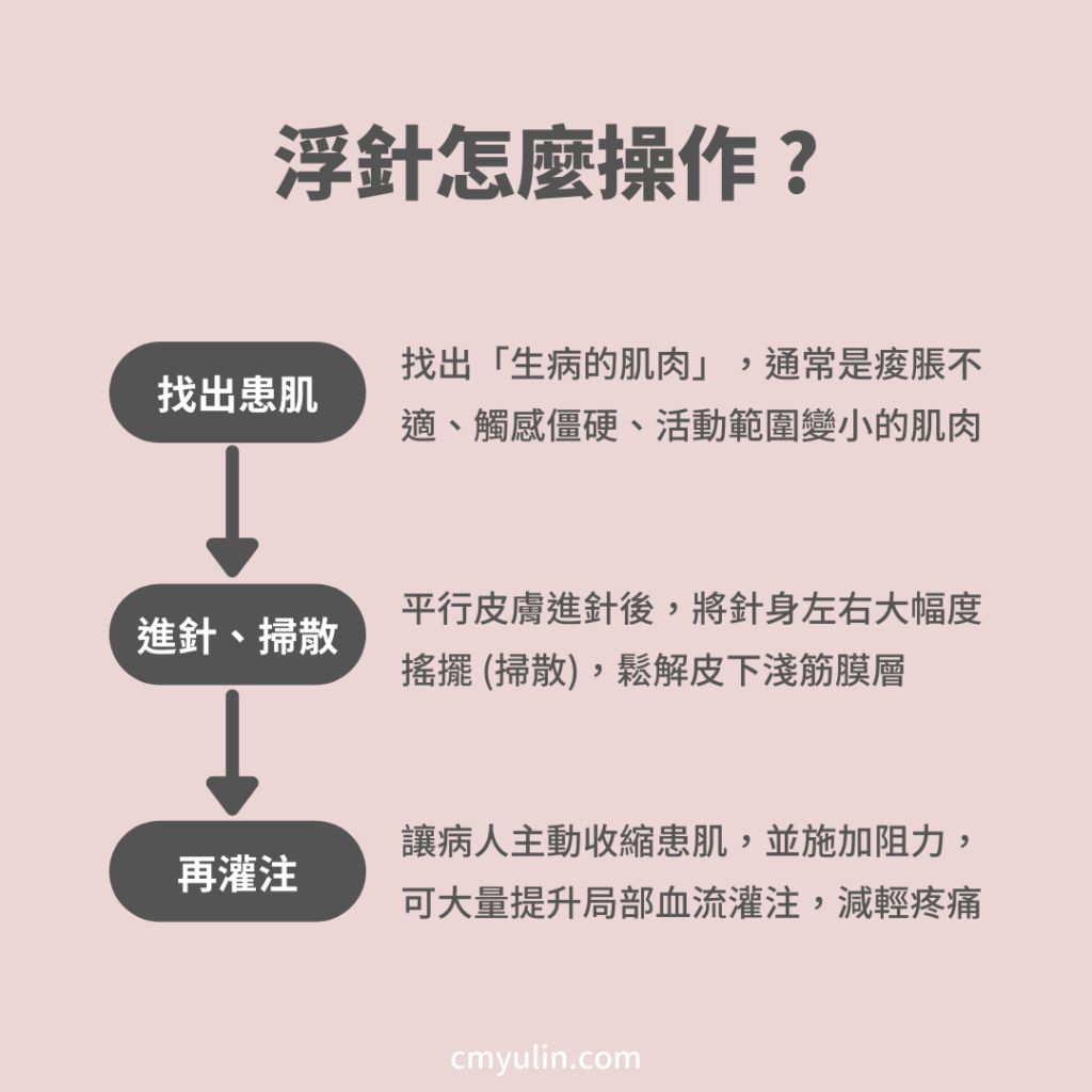 芋泥の秒懂中醫學 – 寫給大眾的生活中醫學